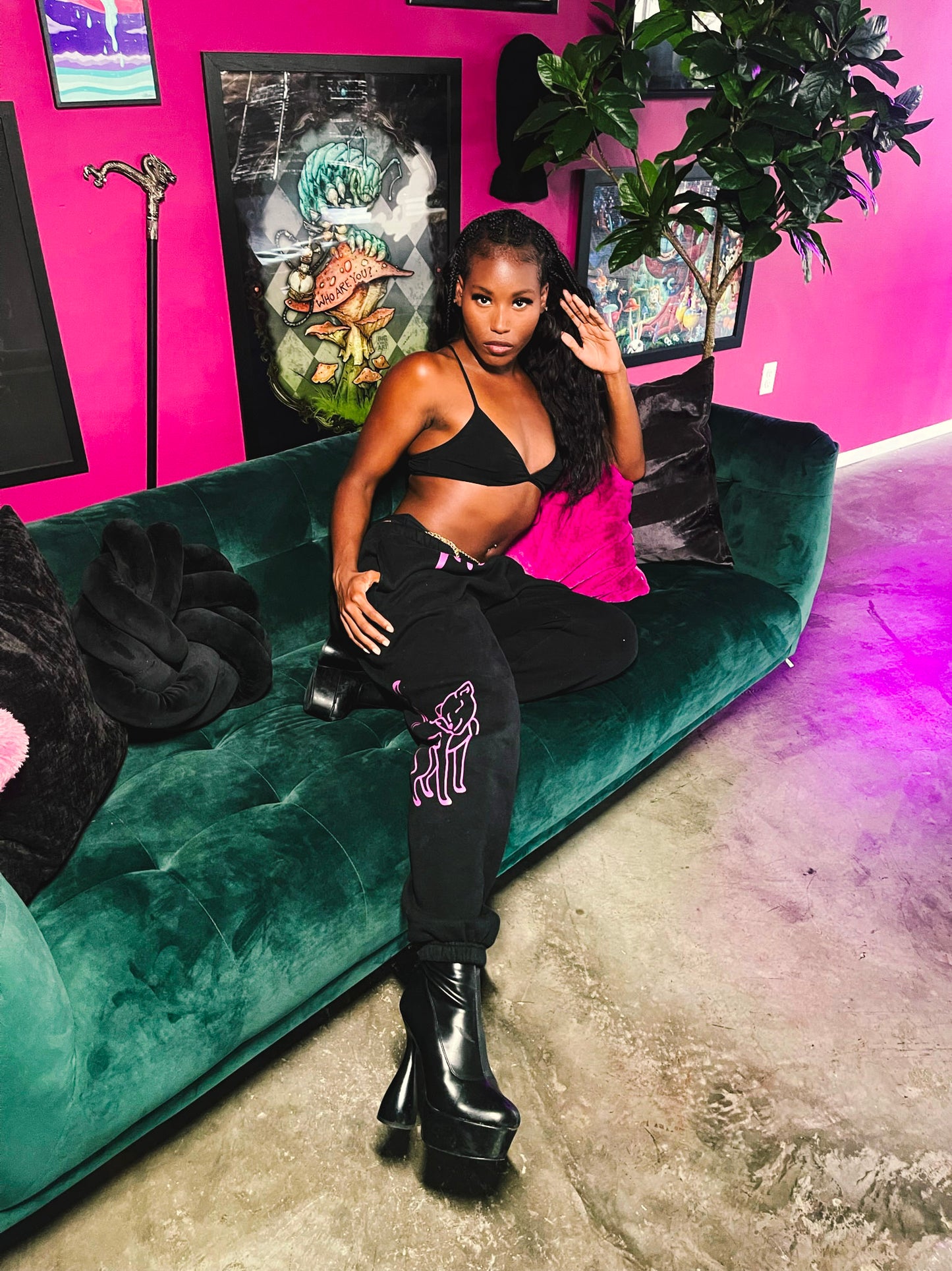 Purrty Sweats